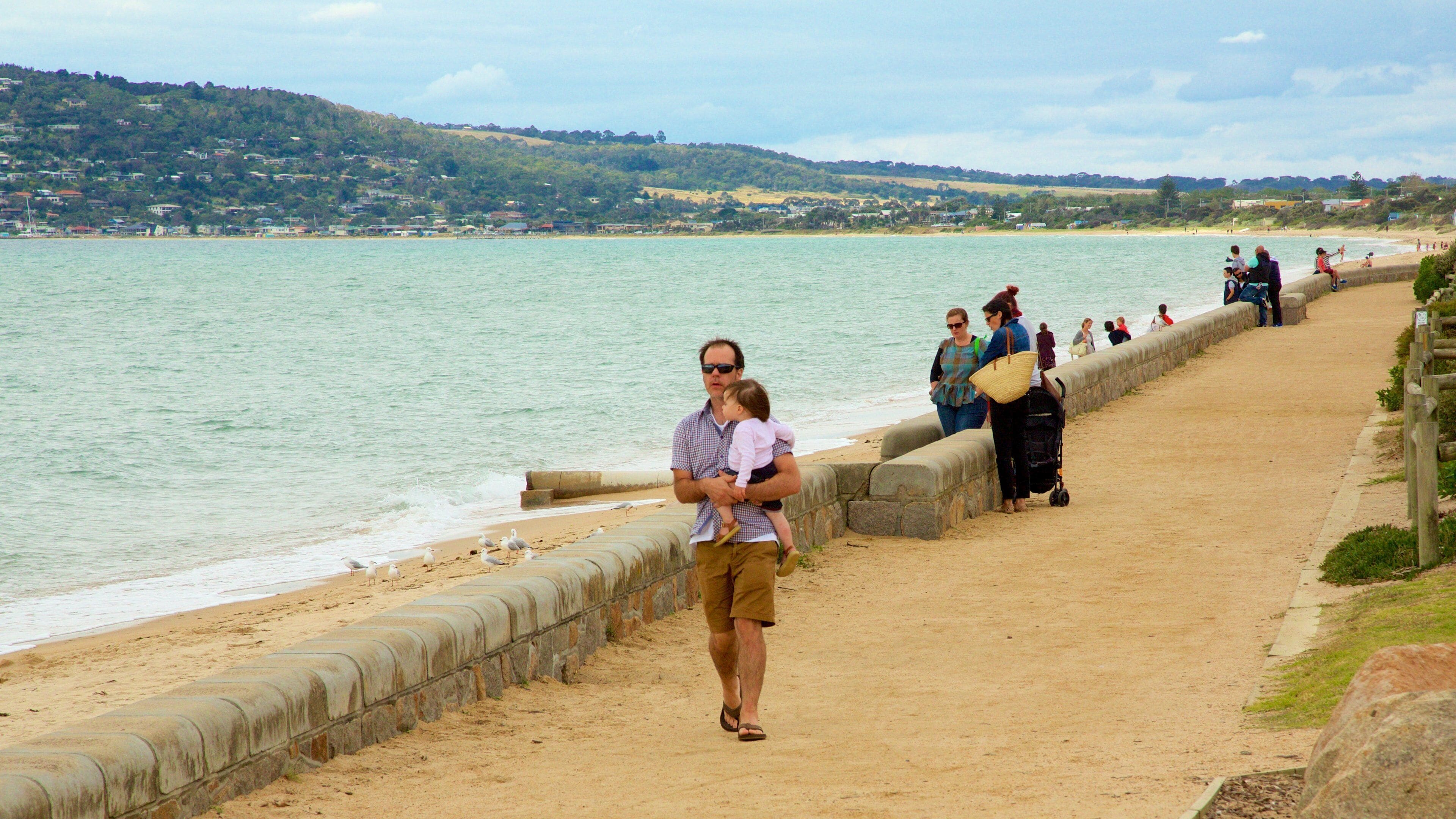 Dromana showing a beach as well as a large group of people