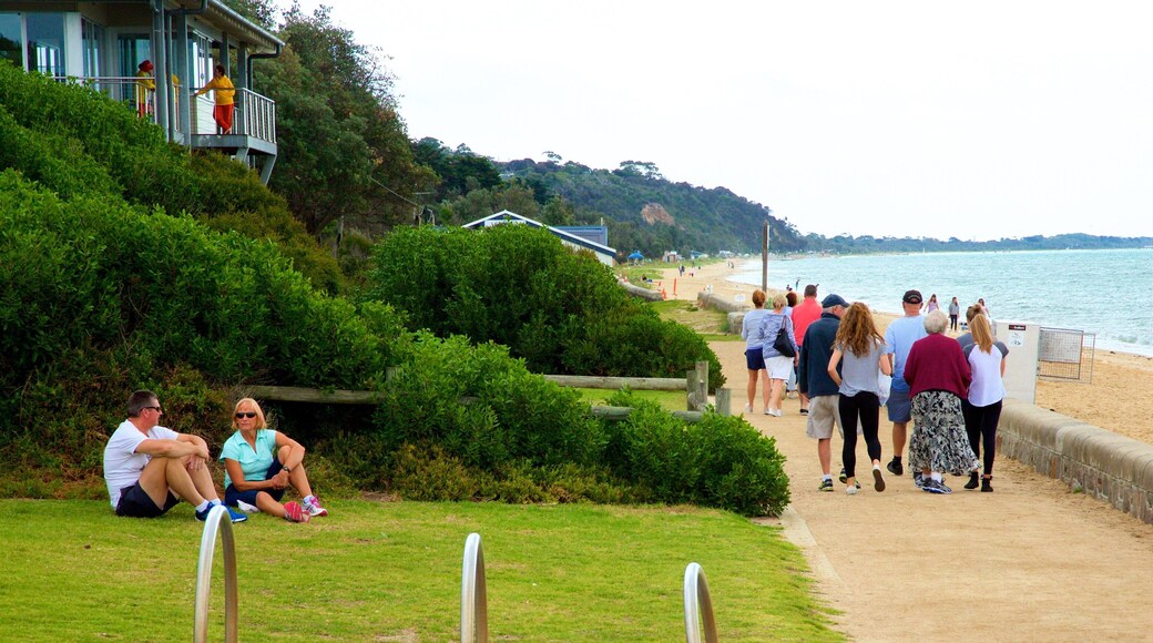 Dromana featuring hiking or walking and general coastal views as well as a large group of people