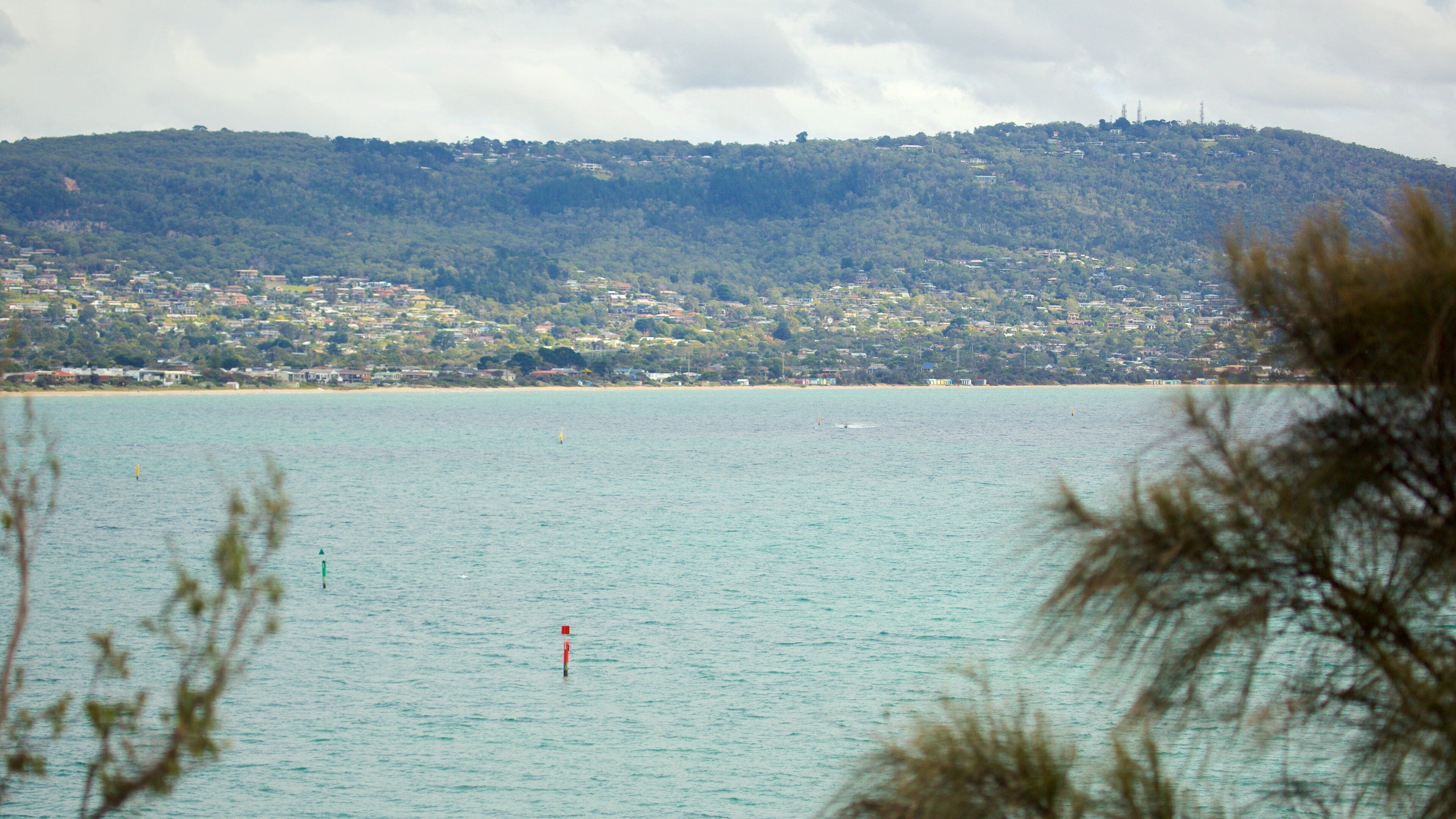 Dromana showing general coastal views