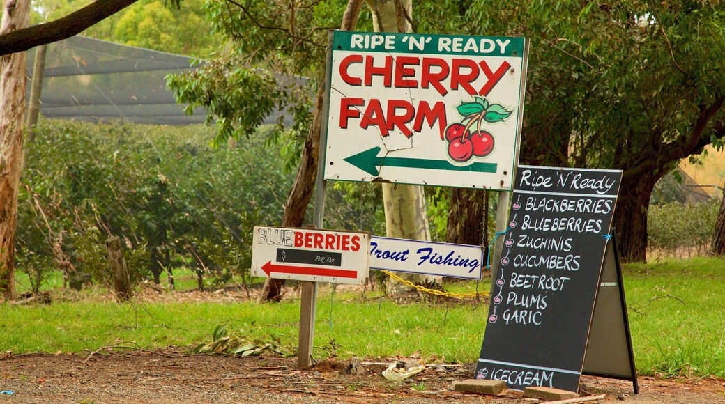 Red Hill som viser skiltning