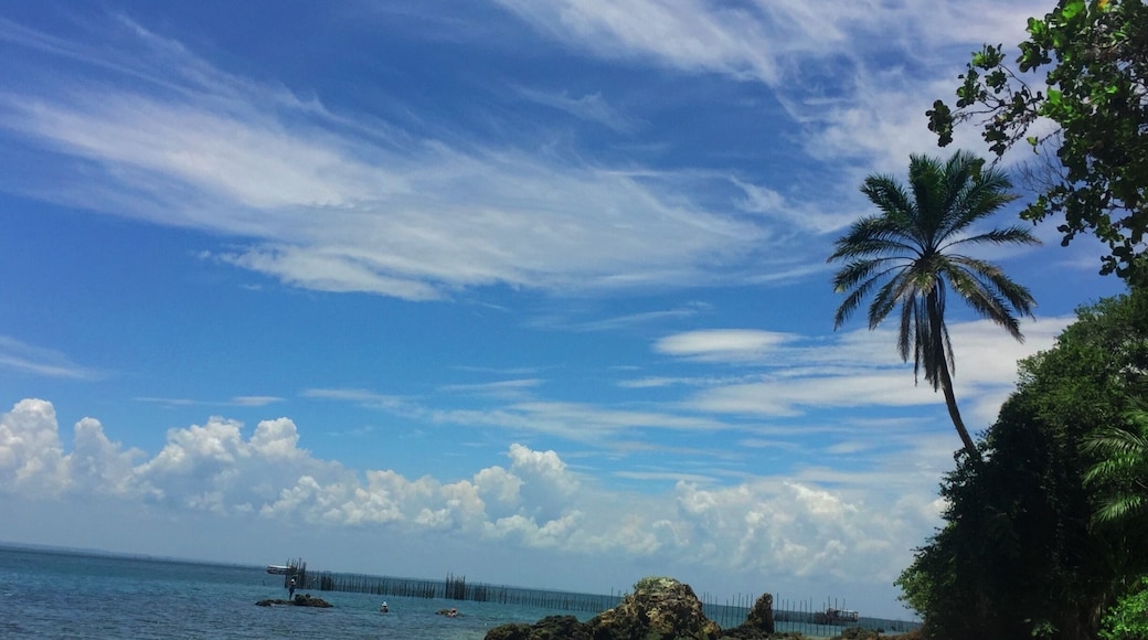 #brazil #BeachTips
2016