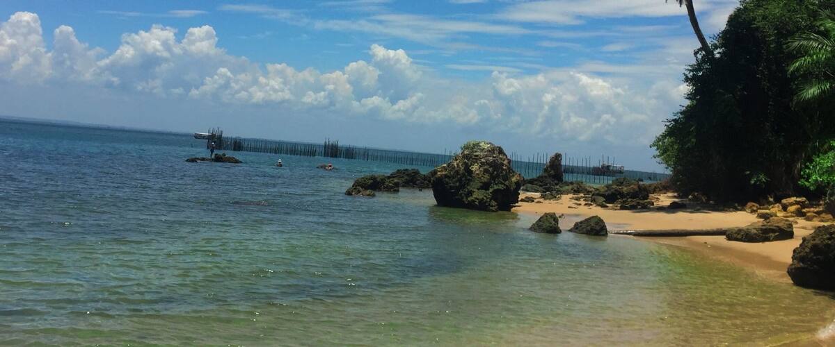 A beach with clear water, rocks, a palm tree, and a pier in the distance.
