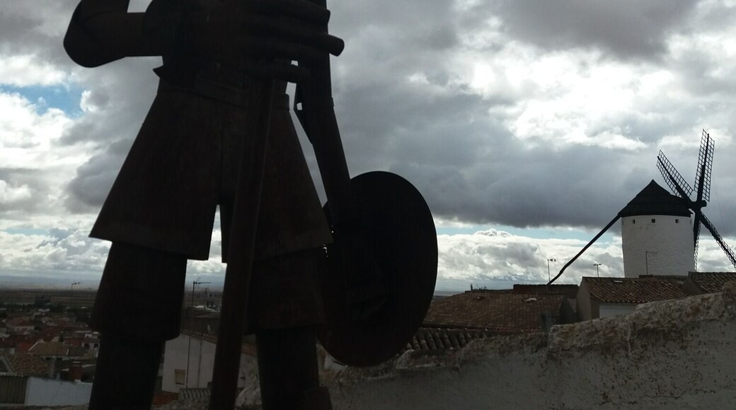 Don Quichot ready to fight...