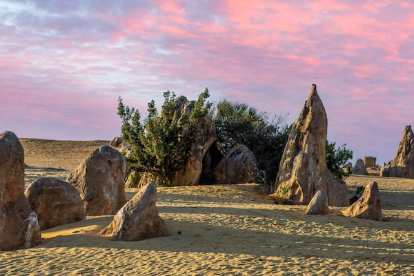 Panorama of the beautiful Pinnacles Desert in western Australia at sunset