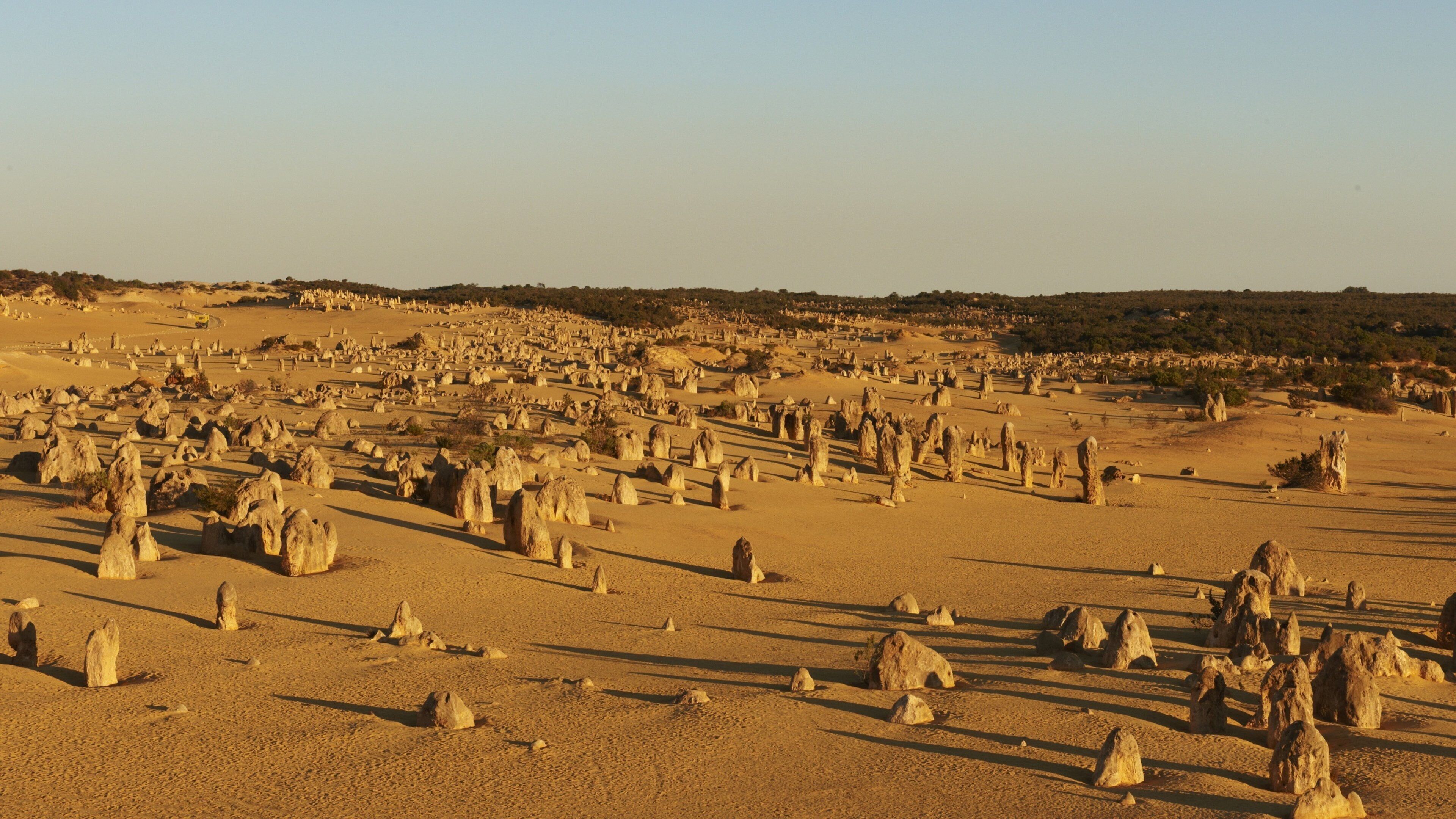 Nambung National Park which includes desert views and landscape views
