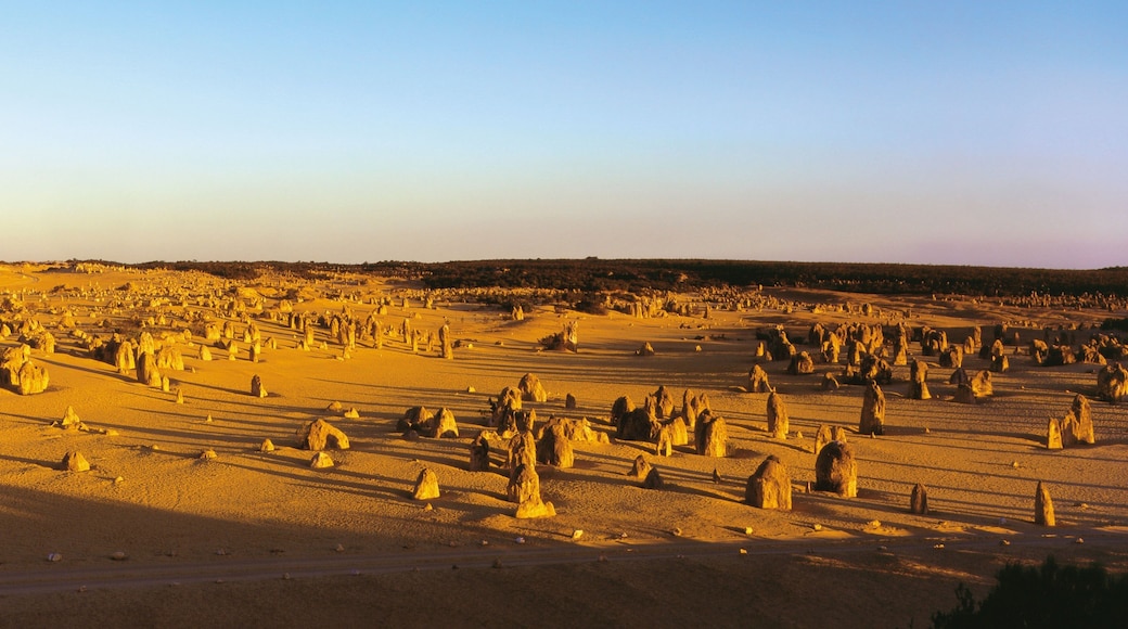 Nambung National Park caracterizando paisagem e paisagens do deserto
