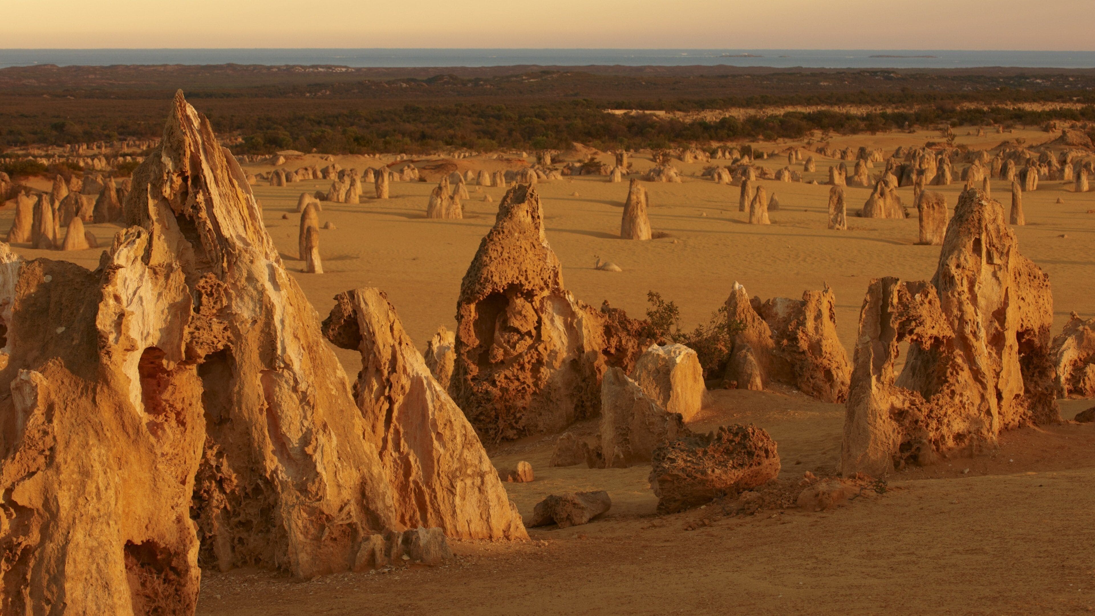 Nambung National Park showing desert views and landscape views