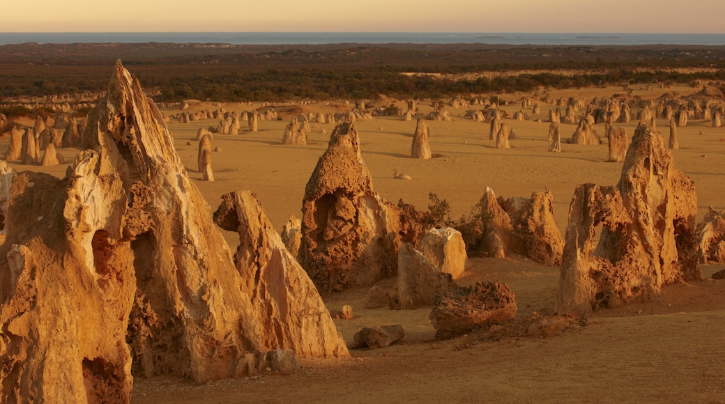 Nambung National Park mostrando paisagem e paisagens do deserto