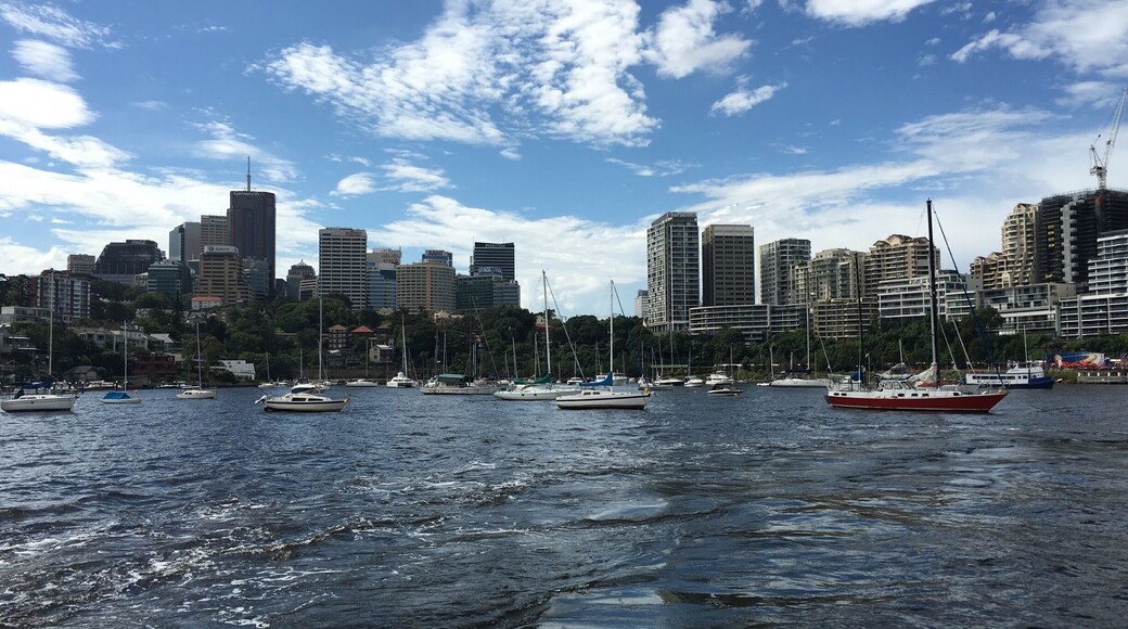 Just a short ferry ride from Sydney is Lavender Bay. A small bay filled with bobbing sail boats. Peace and quiet just a stones throw away from the city.
#Sydney #Lavenderbay #Sailboat #thisisaus #anotherdayinwa #cityscape