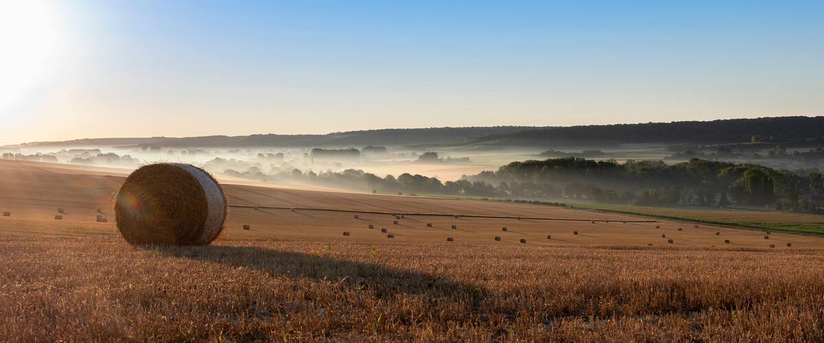 A field with hay bales and a misty landscape in the distance.