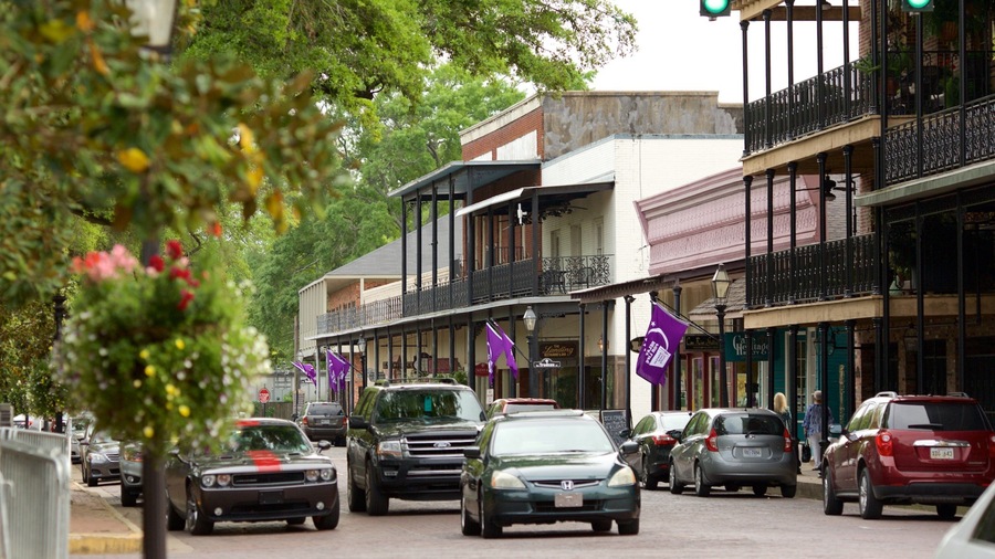 Natchitoches showing a city