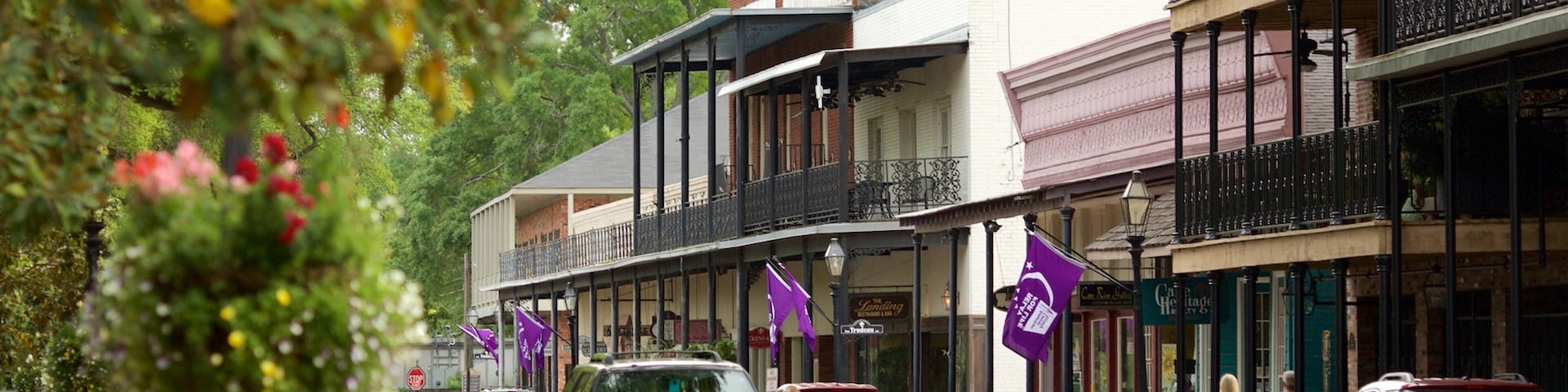 Natchitoches featuring a city