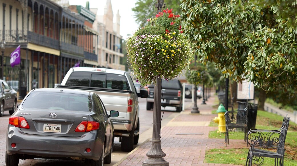 Natchitoches mostrando una ciudad