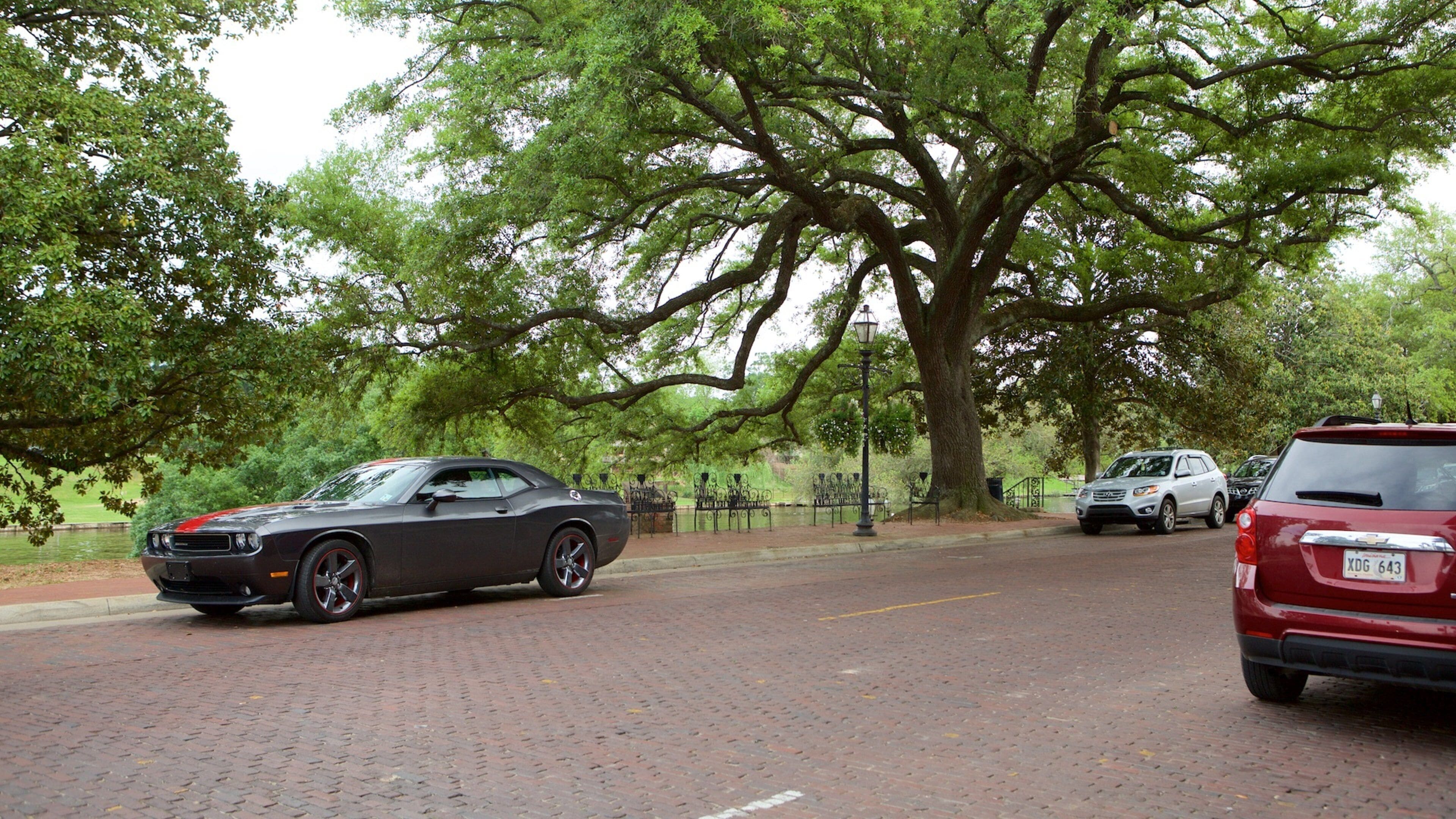 Natchitoches que incluye un parque