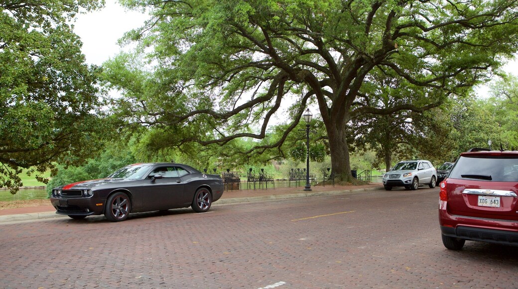 Natchitoches que incluye un parque