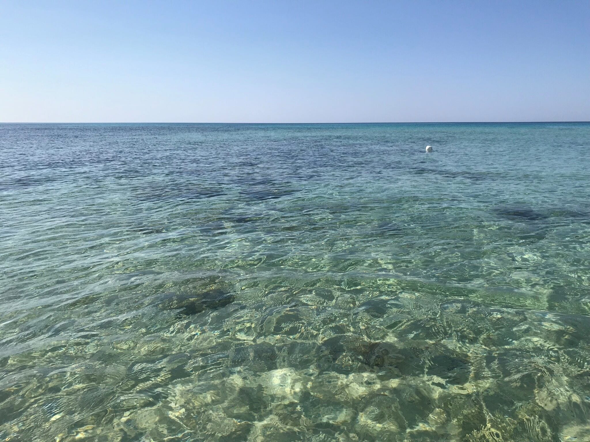 Clear shallow waters with visible rocks and a distant white bird.