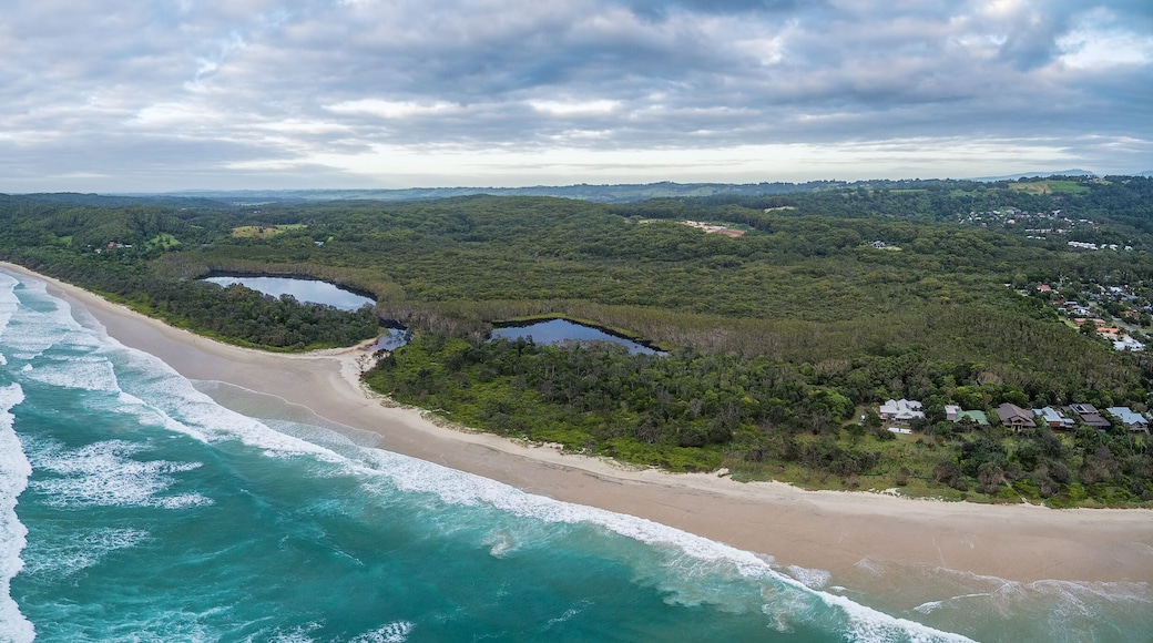 Aerial panorama of ocean coastline and coastal vegetation in New South Wales, Australia