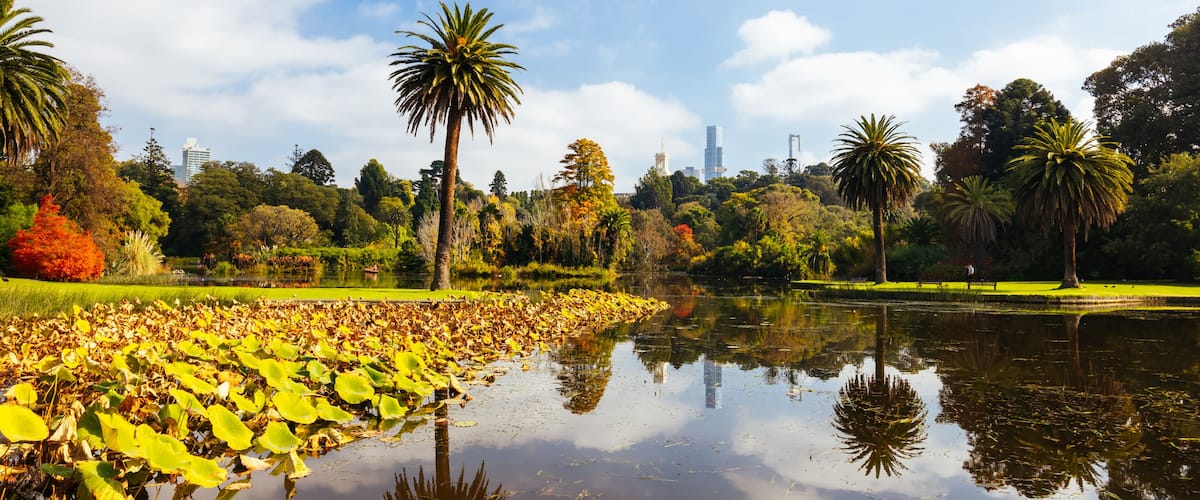 Royal Botanic Gardens in Melbourne Australia