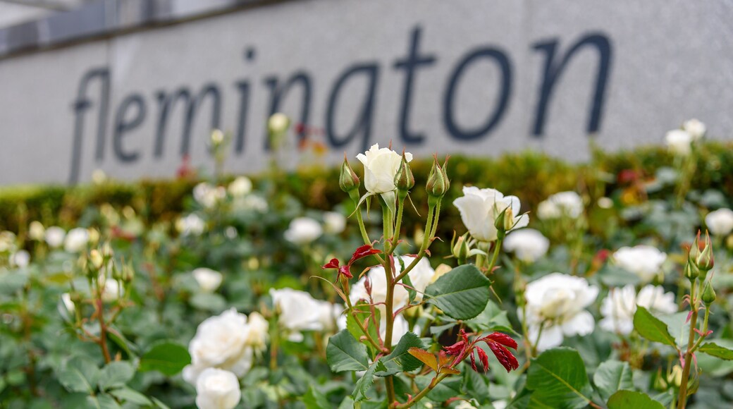 アスコット ベール