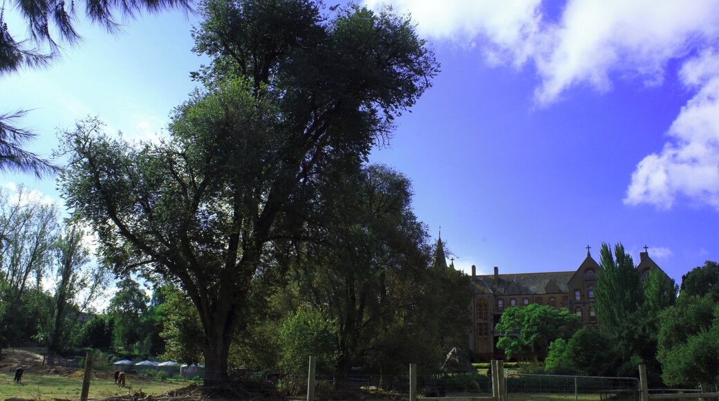 Abbotsford Convent #canon #dslr #australia #melbourne #abbotsford #landscapephotography