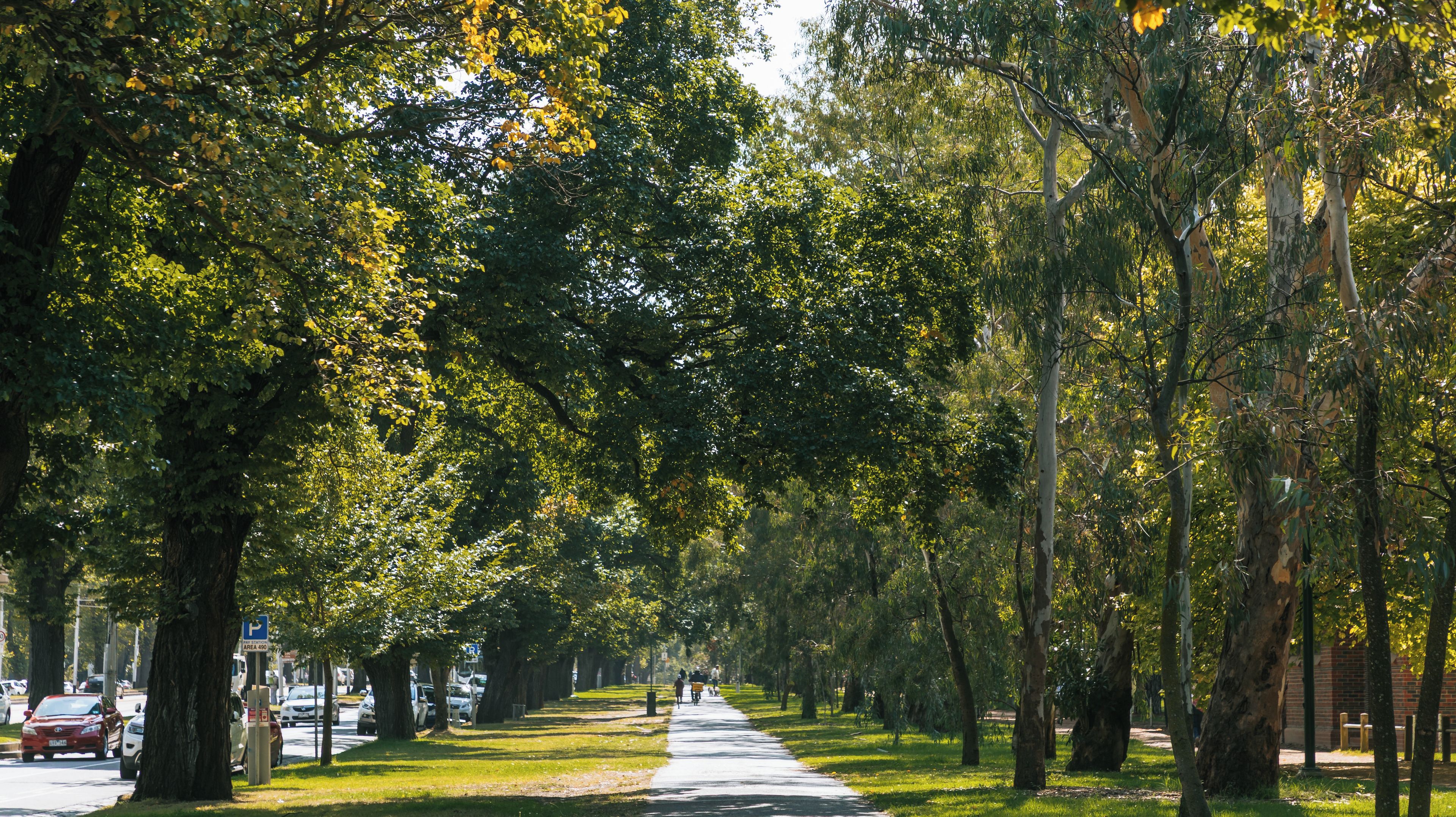 Carlton North