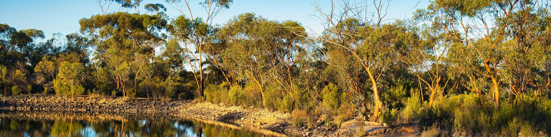 The Boondy Rock Dam in Goldfields Woodlands National Park, Western Australia, one the rock catchments in the Great Western Woodlands, developed for railway water supplies in the days of steam engines.