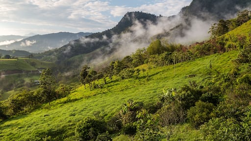 نانيجاليتو