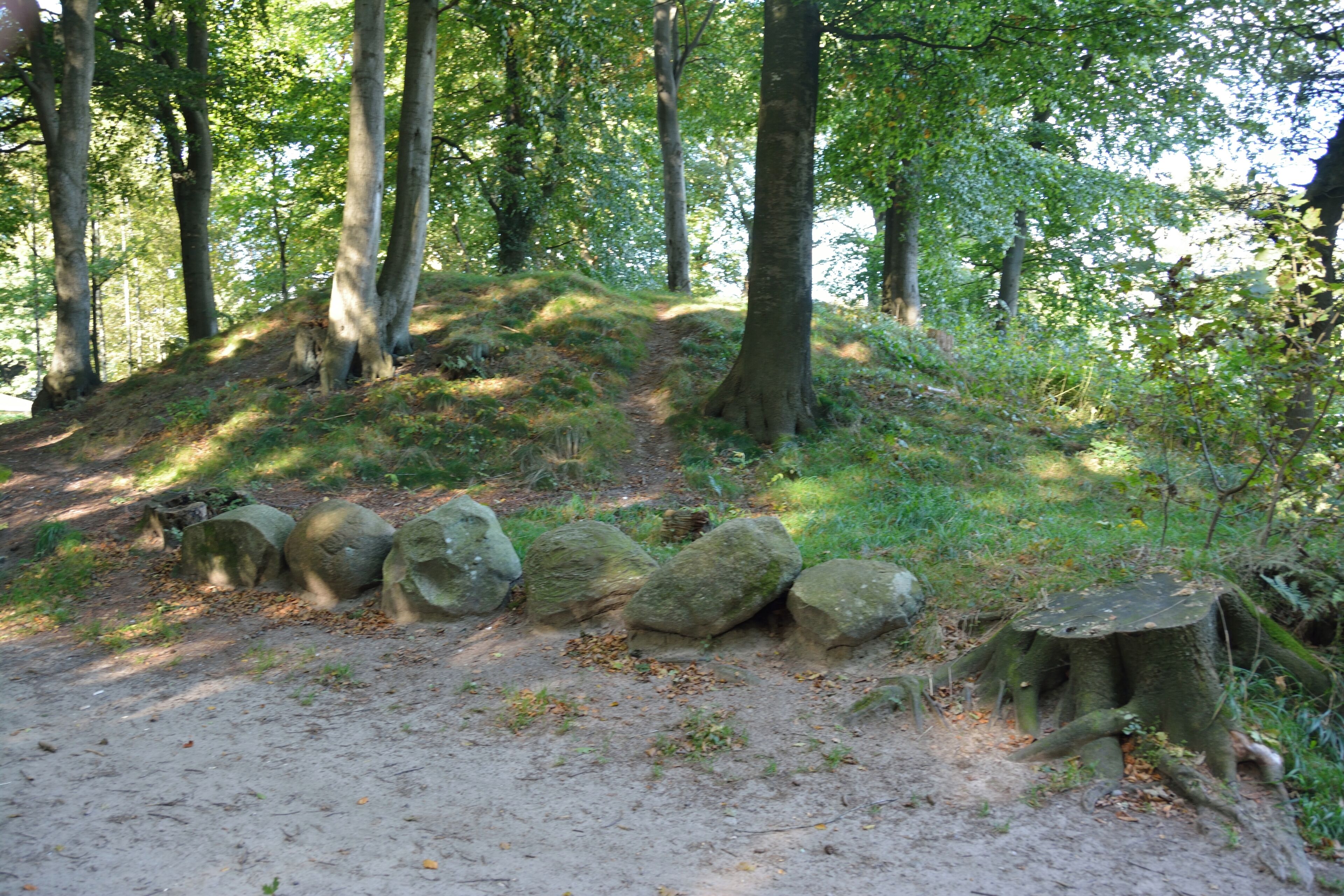 Das Hügelgräberfeld "Hademarscher Berge" liegt in Hanerau-Hademarschen direkt an den Sportplätzen. Von den ehemals bekannten 30 Grabhügeln sind heute noch fünf erkennbar. Ein Hügel wurde bisher geöffnet, das Grab ist der Öffentlichkeit zugänglich. Zwischen zwei Hügeln wurde während der Nazi-Diktatur in Deutschland ein Flakturm errichtet, er dient heute als Ausgangspunkt für einen Klettergarten im Wald