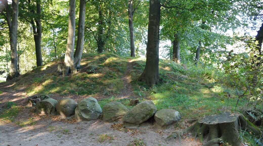 Das Hügelgräberfeld "Hademarscher Berge" liegt in Hanerau-Hademarschen direkt an den Sportplätzen. Von den ehemals bekannten 30 Grabhügeln sind heute noch fünf erkennbar. Ein Hügel wurde bisher geöffnet, das Grab ist der Öffentlichkeit zugänglich. Zwischen zwei Hügeln wurde während der Nazi-Diktatur in Deutschland ein Flakturm errichtet, er dient heute als Ausgangspunkt für einen Klettergarten im Wald