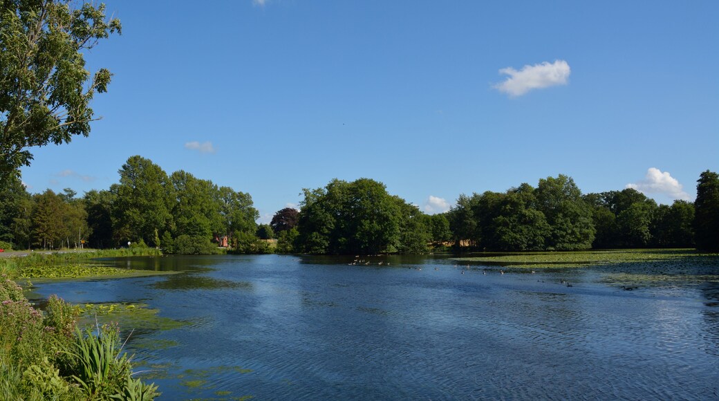 Fotos der Hanerau. Der Mühlenteich in Hanerau-Hademarschen, die aufgestaute Hanerau.