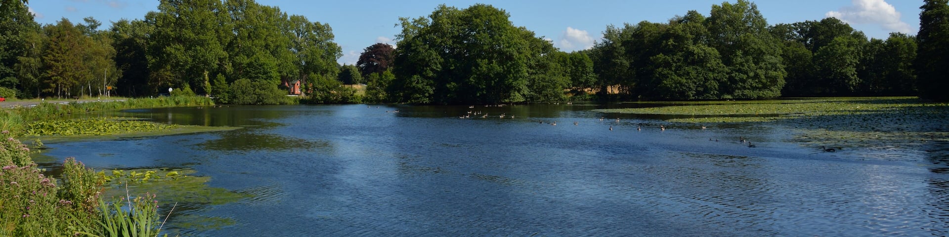 Fotos der Hanerau. Der Mühlenteich in Hanerau-Hademarschen, die aufgestaute Hanerau.