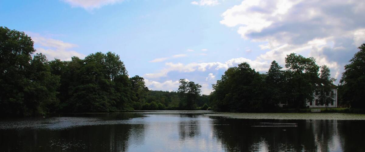 A calm river with lily pads and trees reflecting in the water.