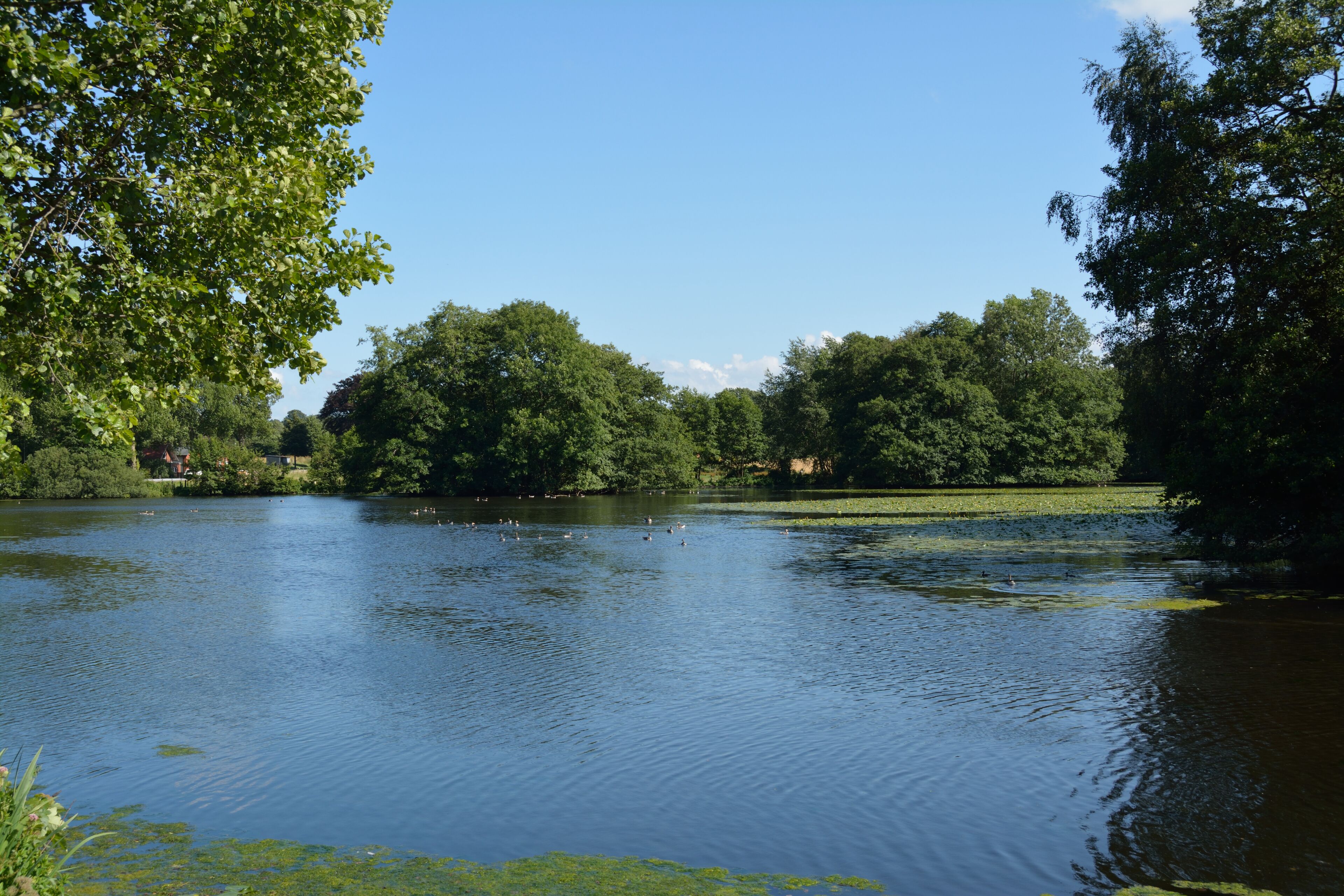 Fotos der Hanerau. Der Mühlenteich in Hanerau-Hademarschen, die aufgestaute Hanerau.