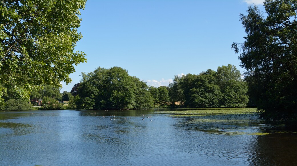 Fotos der Hanerau. Der Mühlenteich in Hanerau-Hademarschen, die aufgestaute Hanerau.