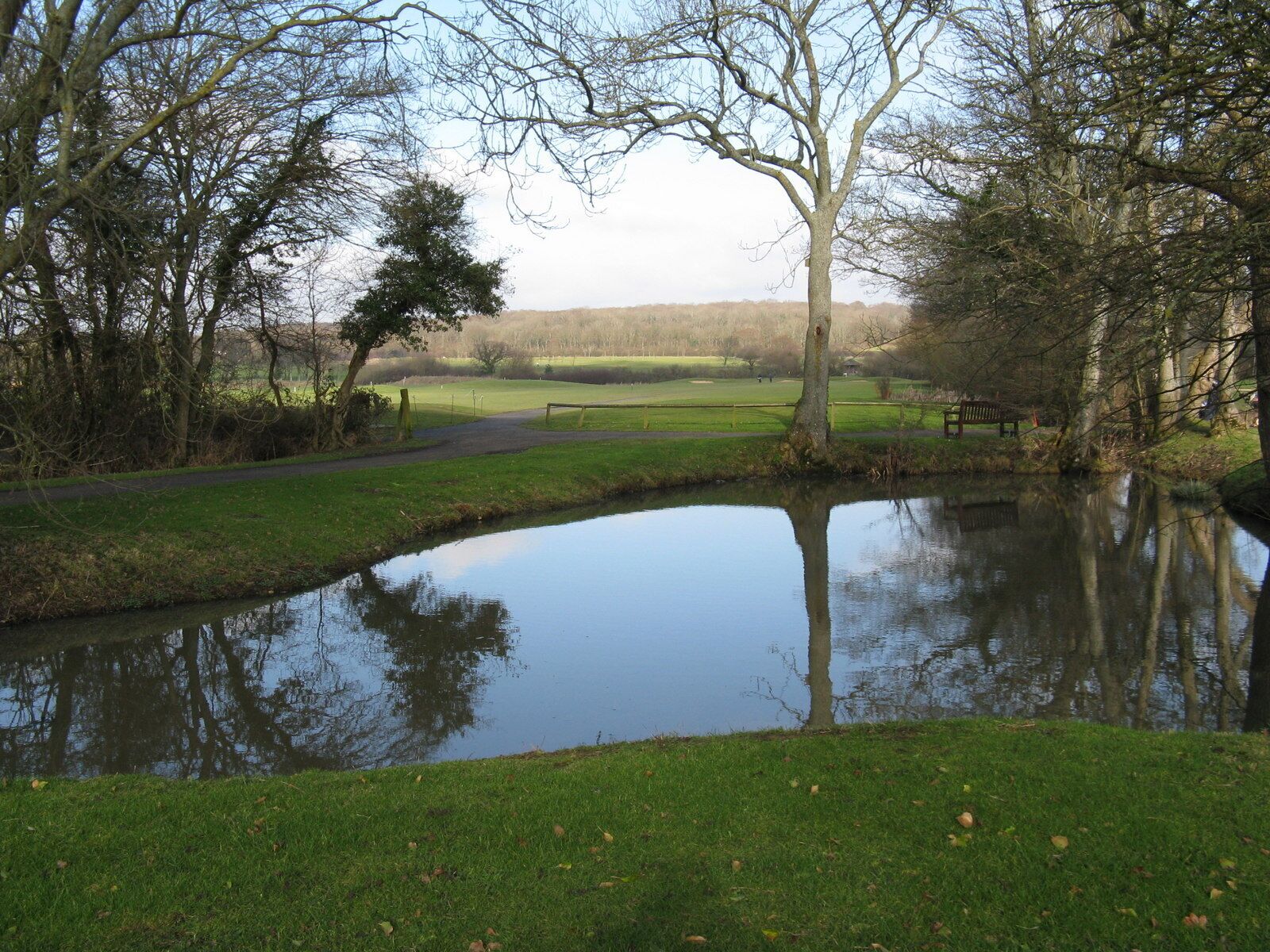 Pond by the 1st tee