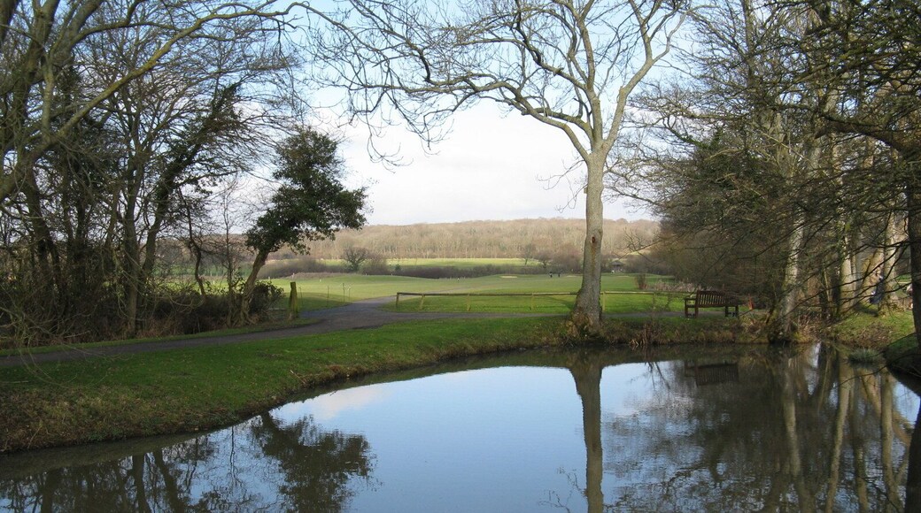 Pond by the 1st tee