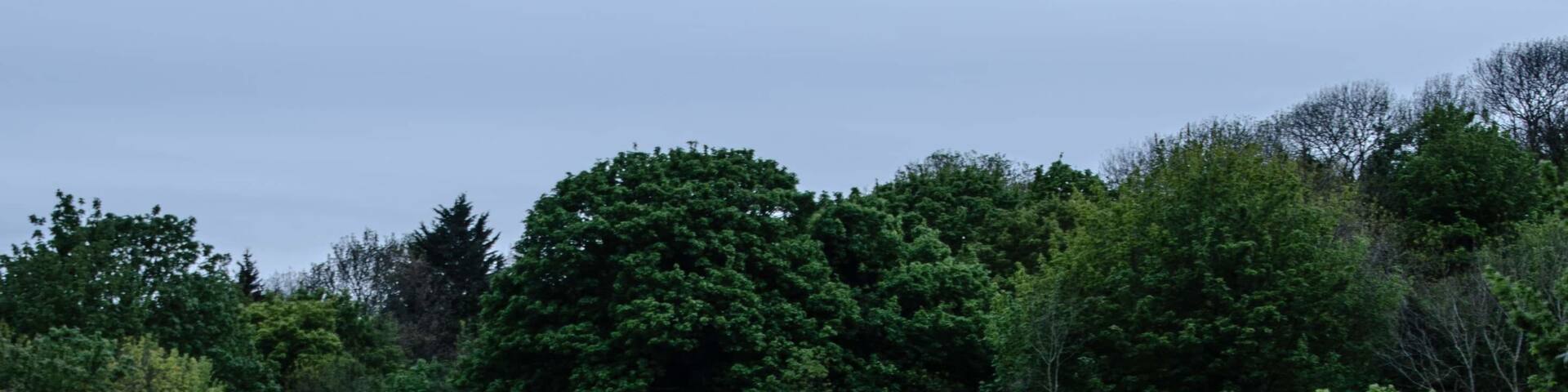 Waiting for the train