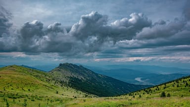 Landscape view of a meadow in the National Park Pelister, Spring, North Macedonia.