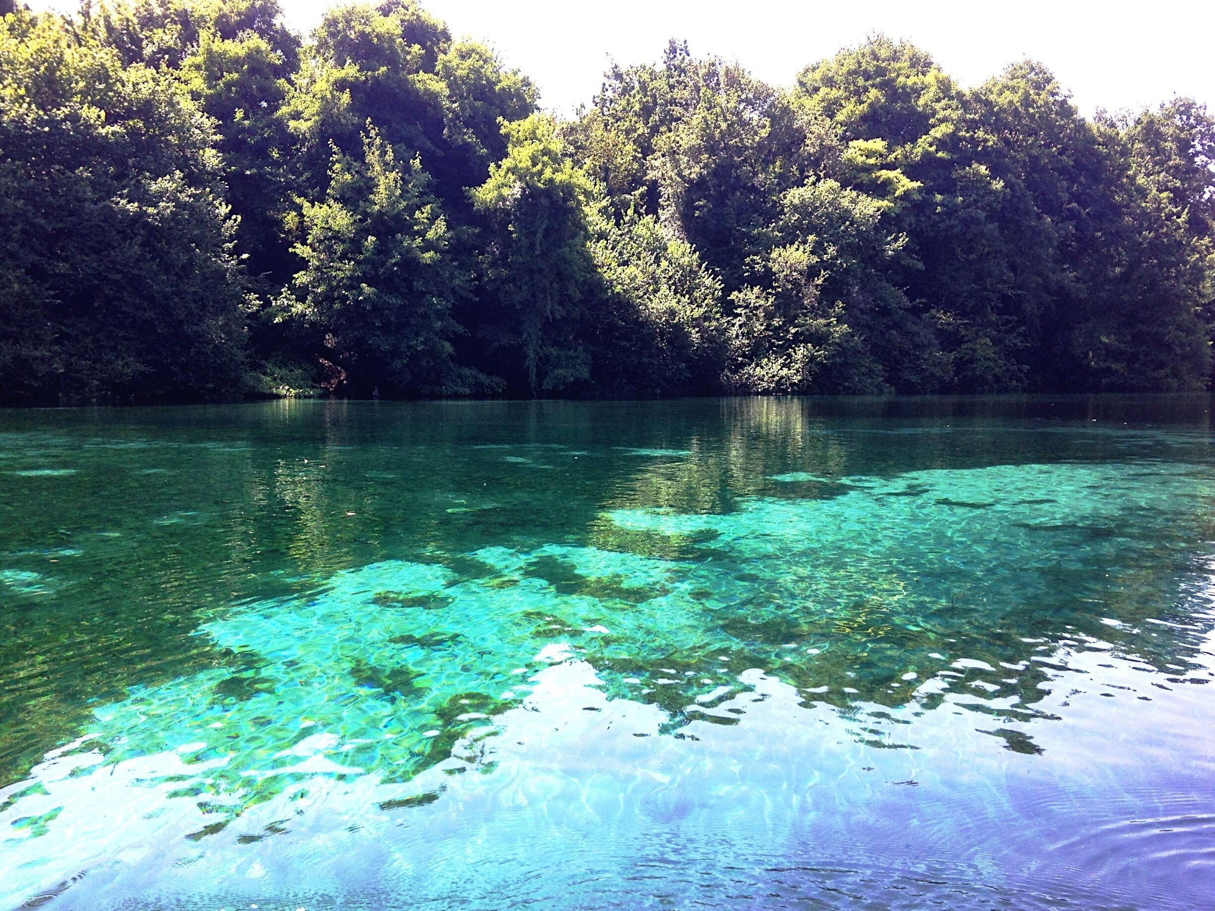 It seems to me that most people forget about the beauty of Macedonia. Last summer I went to a small place called Ohrid, which is situated on the eponymous lake. Lake Ohrid is big, and therefore I found a lot of beautiful spots of which I have taken pictures from. But the most impressive one, was the mini paradise near the monastery of St. Naum. There, the source of the Black Drim River rises which creates a river that flows into Lake Ohrid. Guides will show you the springs in little, wobbly boats and if you're lucky, he will sing a serenade for you! After the first turn, it became clear why this is so special. The water is unbelievably clear and bright blue. Never have I seen something like this. Along the way, the guide will stop a few times to admire one of the 35 spots where the source rises up into the river. Because of the crystal clear water, you can see little air bubbles coming from the bottom of the river - although you have to be careful to not imbalance the wobbly boat (I experienced a little scary moment there). At this point, I thought to myself how wonderful nature is. At the end, there was a tiny church where the source also runs through. A local woman told us we could drink the water, because it is naturally clean. And so we did. 