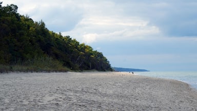 Una playa arenosa con una zona boscosa en un lado y un mar tranquilo.