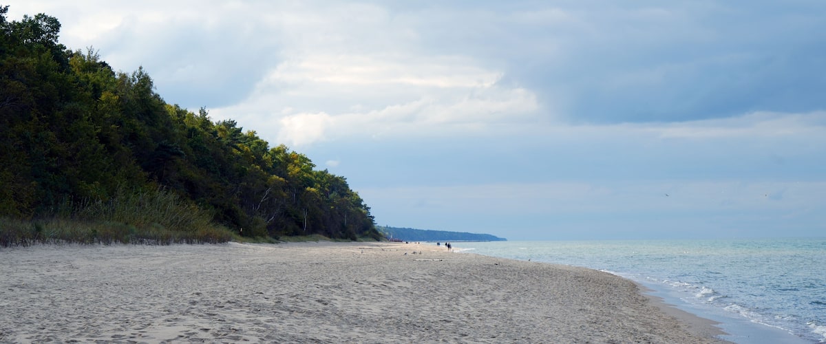 A sandy beach with a forested area on one side and a calm sea.