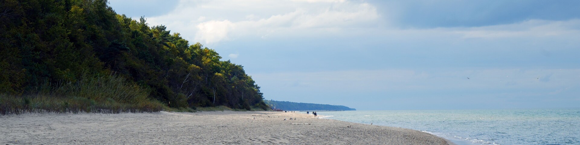 A sandy beach with a forested area on one side and a calm sea.