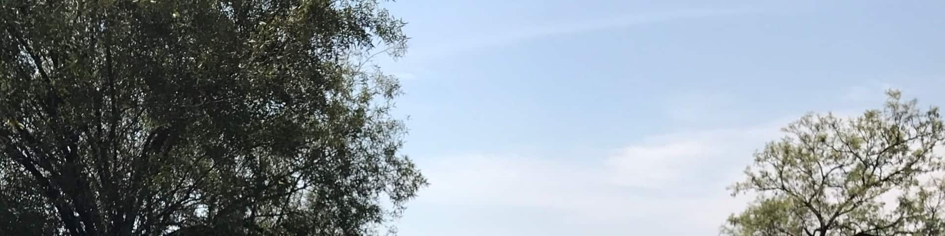 Walking with the lions!