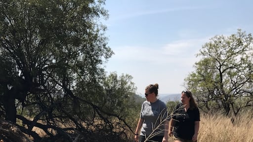 Walking with the lions!