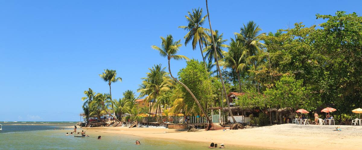 A tropical beach with palm trees, a sandy shore, and a clear blue sky.