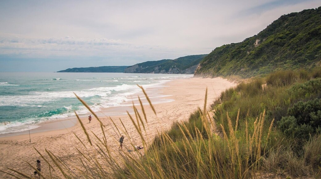 #LifeAtExpedia
Tip: It is worth the short walk from the road to the beach! There are a lot of beautiful views of the beach along that road.