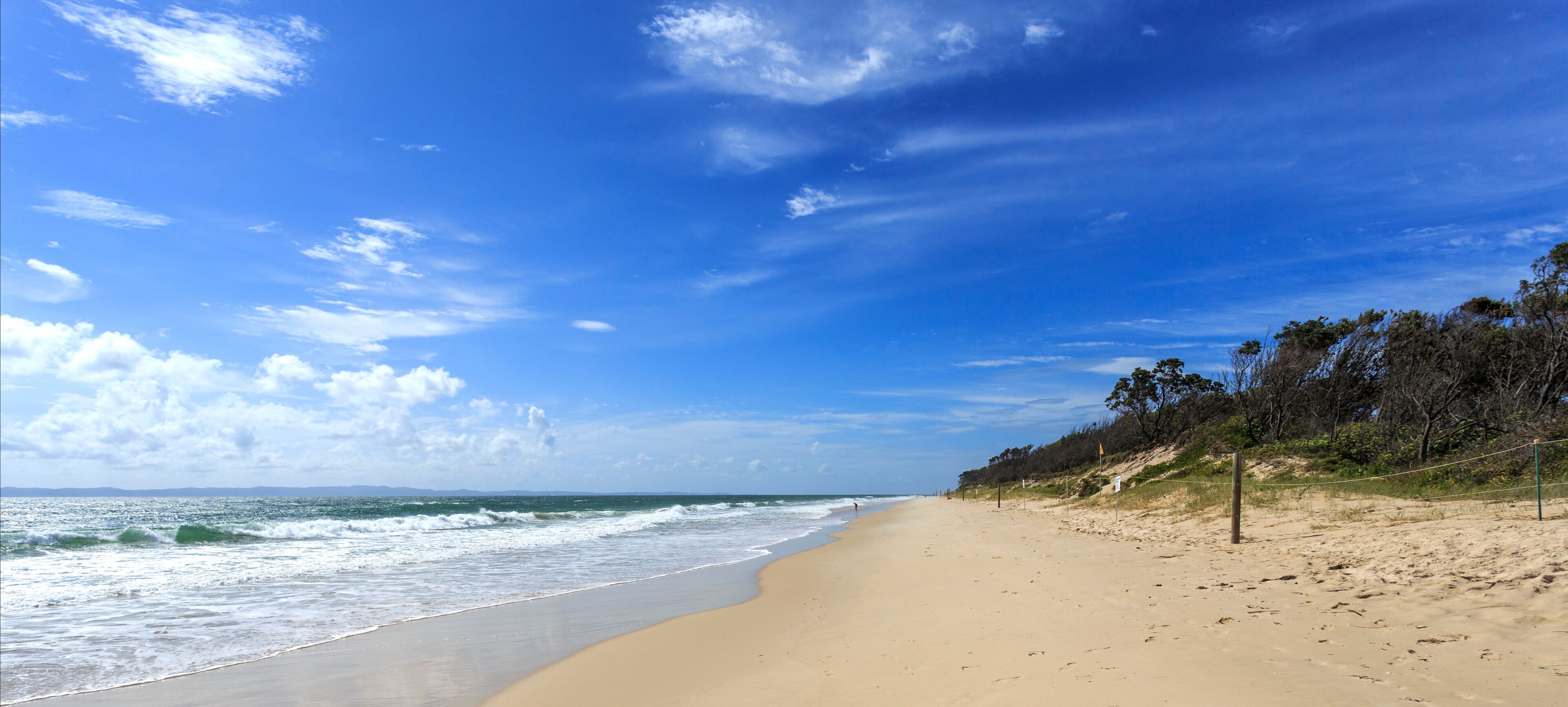 A sandy beach with gentle waves, a clear blue sky, and sparse vegetation along the shoreline.