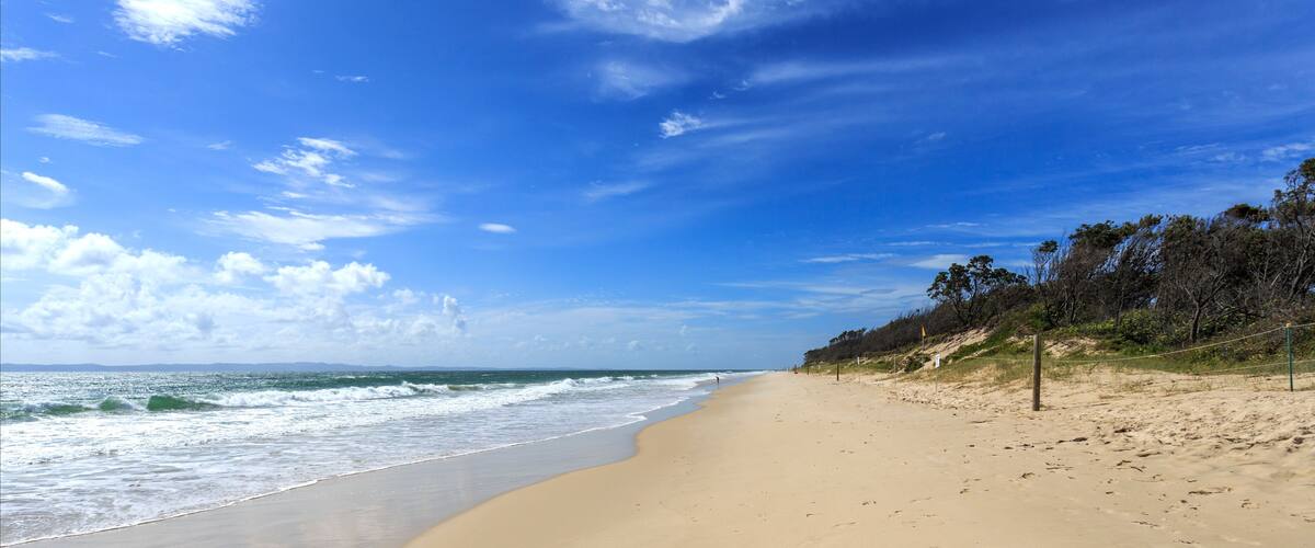A sandy beach with gentle waves, a clear blue sky, and sparse vegetation along the shoreline.