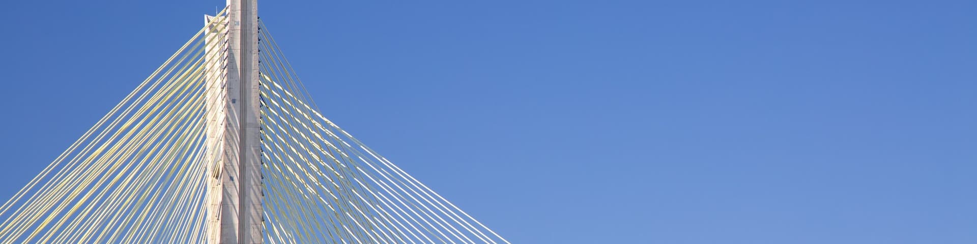 Octavio Frias de Oliveira Bridge featuring a bridge and modern architecture