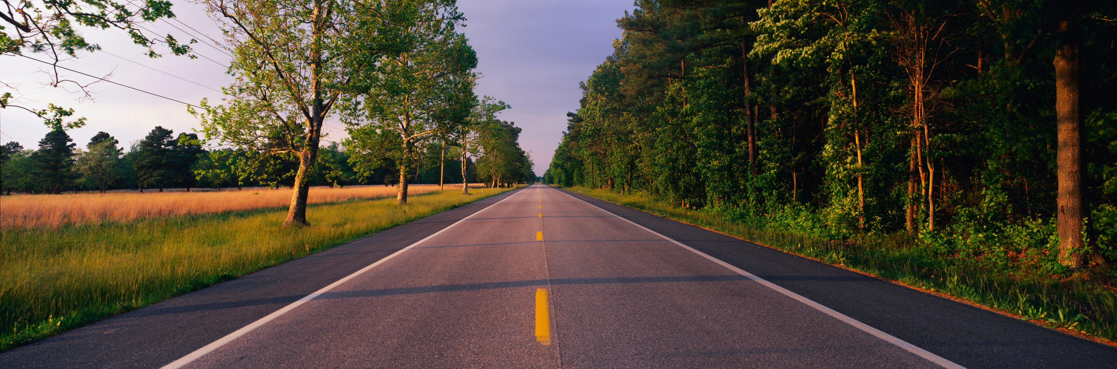 This is a tree lined road at sunset. It is located on the Eastern Shore of Maryland. The road travels through the center of the trees.